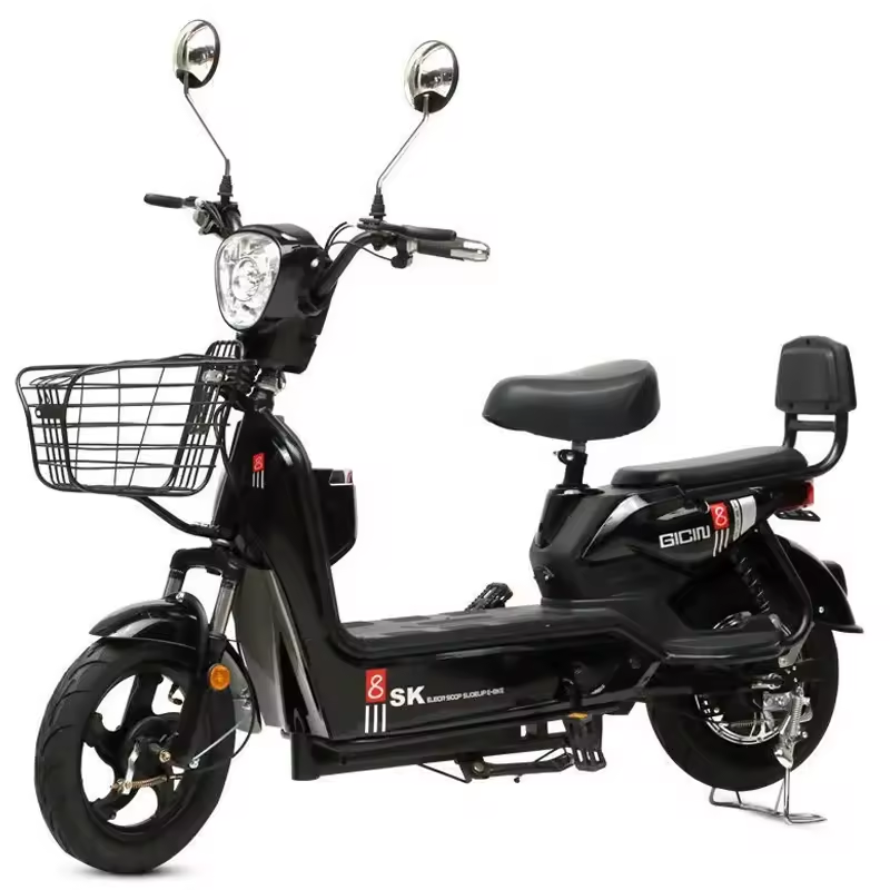 Best Price Electric City Bike  - Cycling In City review and price