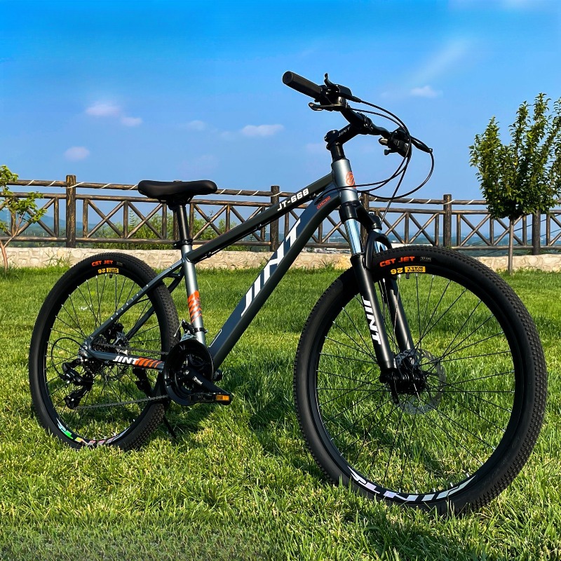 Wholesale Aluminum Alloy 26 In - Commuter Biking review and price